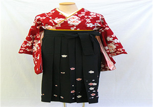 netaikyo热带鱼服饰